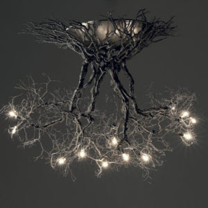 Tree Roots Light
