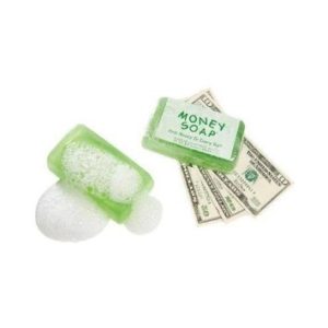 Hidden Stash Money Soap
