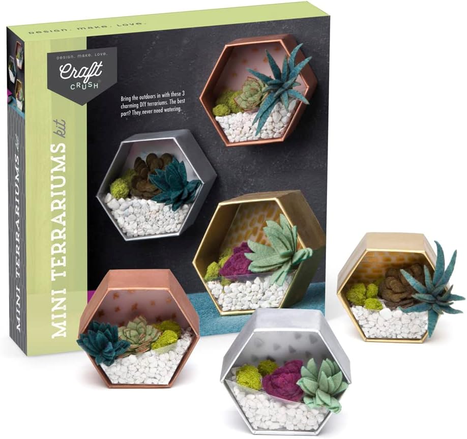 DIY Terrarium Kit Make 3 Charming Mini Terrariums