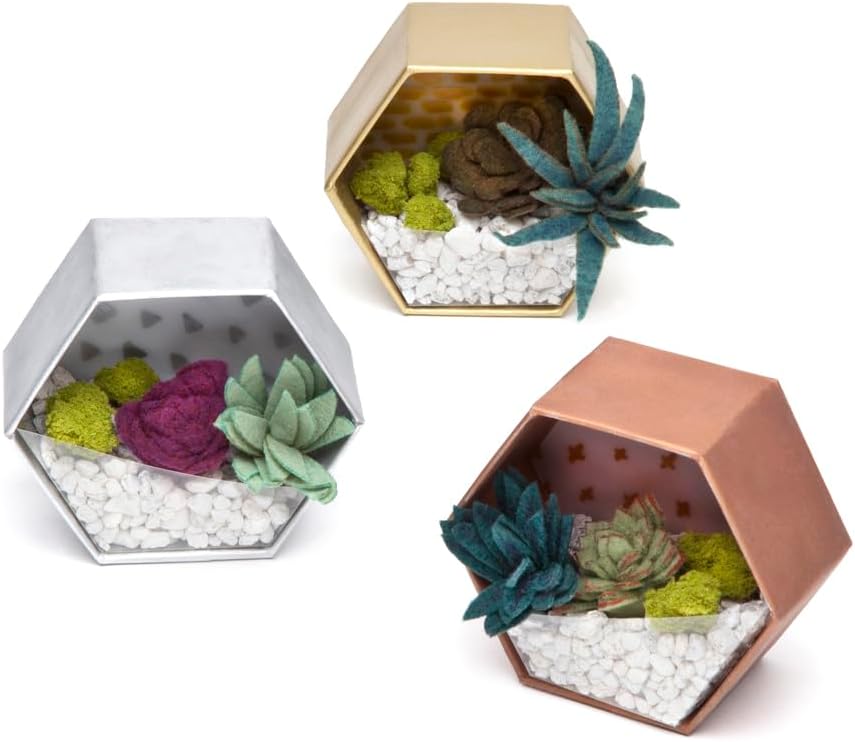 Craft Crush Terrarium Kit Arts and Crafts Gift