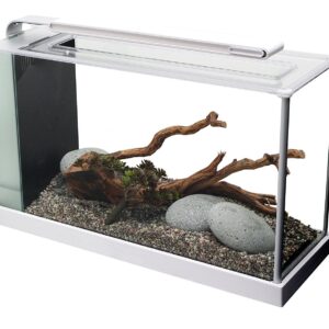 Coffee Table Aquarium