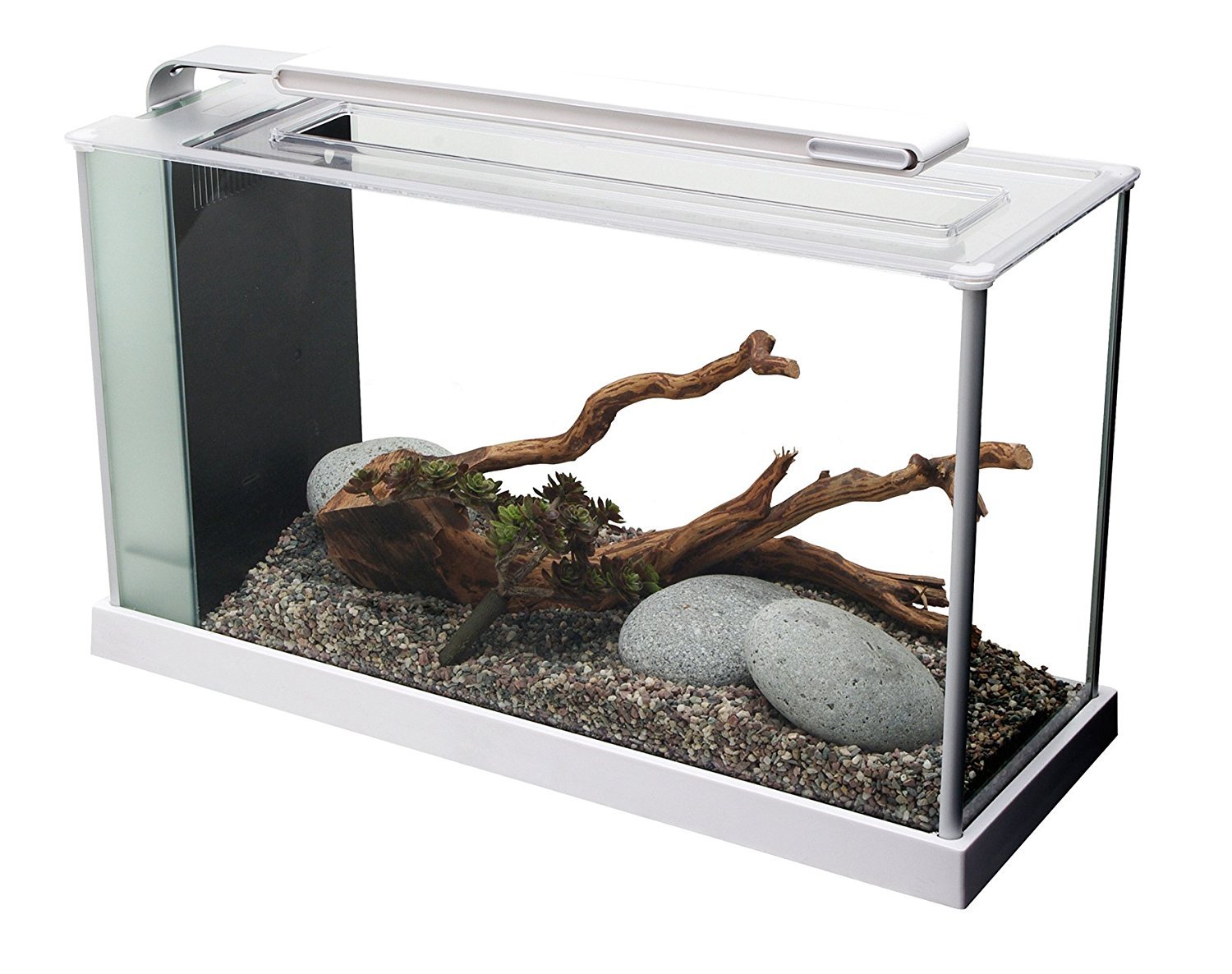 Fluval SPEC V aquarium kit - coffee table aquarium display housewarming gift